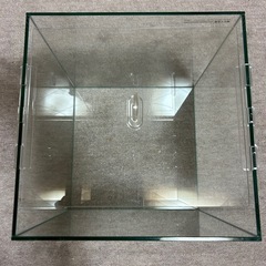 熱帯魚・メダカ　30㎝キューブ水槽①の画像