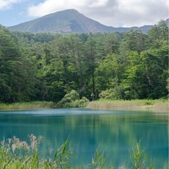 一緒に写真撮りに行きませんか？