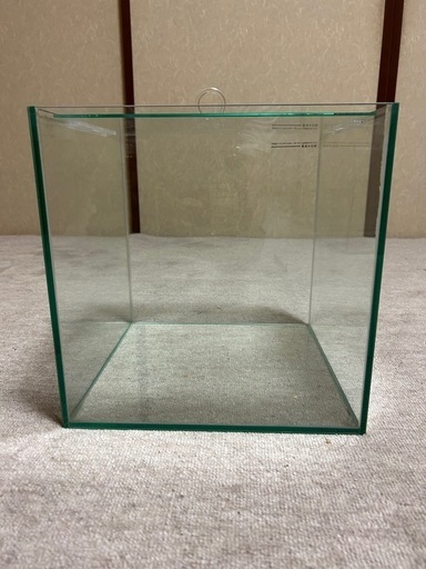 熱帯魚・メダカ　30㎝キューブ水槽②