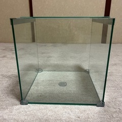 値下げ　熱帯魚・メダカ　30㎝キューブ水槽④