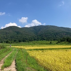 山⛰️へ走りに行きませんか🙋