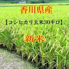 ☆香川県産☆新米☆コシヒカリ☆玄米30キロ☆