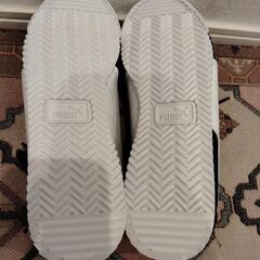 22.5cm PUMA プーマ ユニセックス プーマ チュリーノ FSL スニーカー


の画像