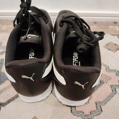 22.5cm PUMA プーマ ユニセックス プーマ チュリーノ FSL スニーカー


の画像