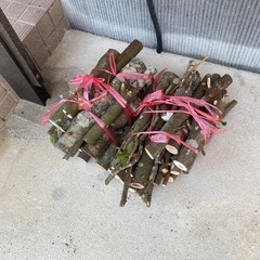 木　タダ