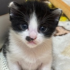 8月19日生まれ