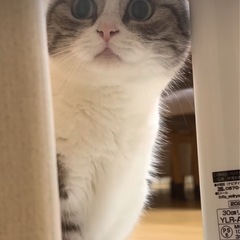 ママでもたまには贅沢しませんか？💕