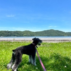 犬友達を探しています🐕 - 友達