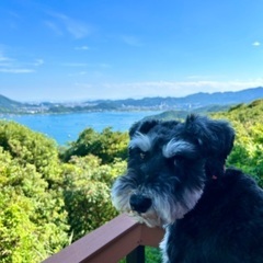 犬友達を探しています🐕 - 西宮市