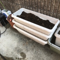 プランター差し上げます！