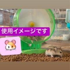 小動物用ソイル、床材