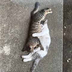 2匹兄弟です！