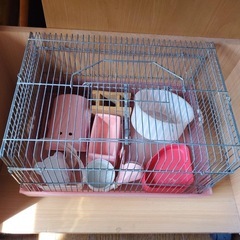 ハムスター飼育ケージ　　の画像