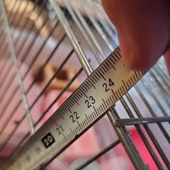 ハムスター飼育ケージ　　の画像