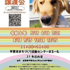9月15日　保護犬　保護猫　譲渡会