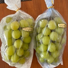 シャインマスカットの画像