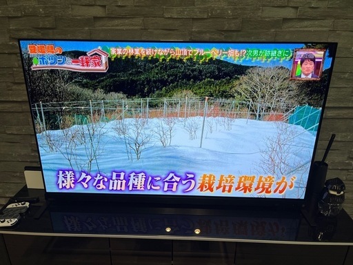 東芝 55X9900M  有機ELテレビ