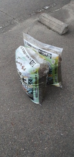 園芸 花や木、植木鉢など