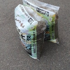園芸 花や木、植木鉢などの画像
