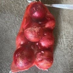 玉ねぎ 数個1kg