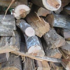 広葉樹薪（高さ１５００ｍｍ*幅１１００ｍｍ）薪長さ３５０ｍｍから４００ｍｍ。の画像