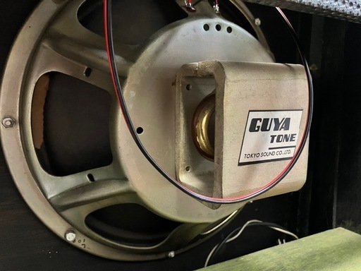 動作品　guyatone GA-820 デラリバ仕様