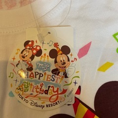 ディズニーランドの画像