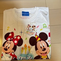 ディズニーランド