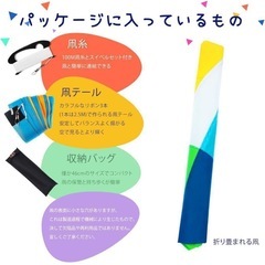 三角凧 レインボー カラフル 収納バッグセット 超簡単の画像