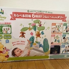 プーメリーの中古が安い！激安で譲ります・無料であげます(15