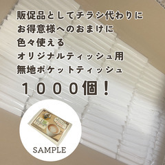 【無地ポケットティッシュ500個入りｘ2／販促・粗品に最適！】①の画像