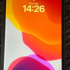 iPad Pro 11インチ 第2世代 256GB + Appl...