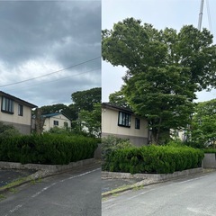 あらゆる伐採作業から伐木処分・建物解体まで！！ - 高島市