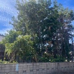 高知市でも大好評　年間実績500件突破