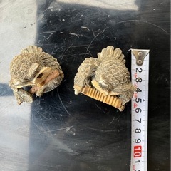 フクロウの置き物の画像