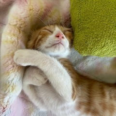 全くもって無抵抗