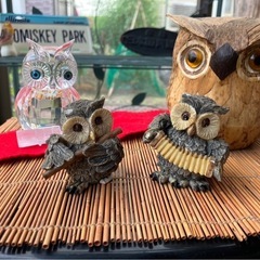 フクロウ置物セットで！