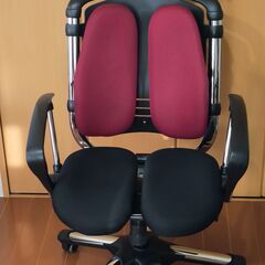 ハラチェア ニーチェ 高機能アームチェアHARA chair 椅...
