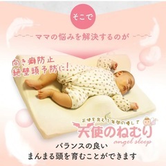 絶壁 改善 「天使のねむり」カバー１枚セットの画像