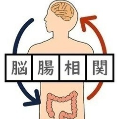 若々しく健康のカギは腸にあり！腸と脳のヨガ体験会の画像