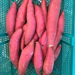 農家直送　さつまいも　4kg＋増量サービス付き 　新鮮❗️甘い‼...