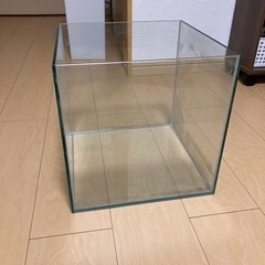 キューブ型の水槽