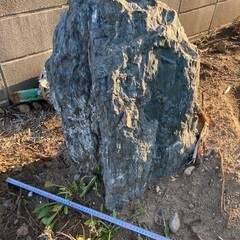 庭石0円【交通費1.5万円！！】の画像