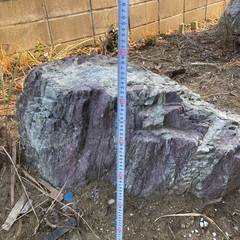 庭石0円【交通費1.5万円！！】の画像