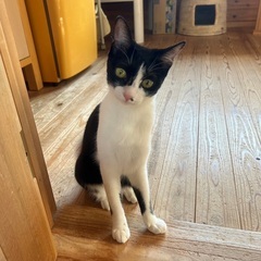 【動画あり】鼻の下のホクロが可愛い♡甘えん坊でしっかり者の女の子...
