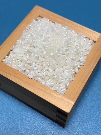 お米　新米　白　ライス　30kg