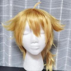 不要なウイッグお譲りください！
