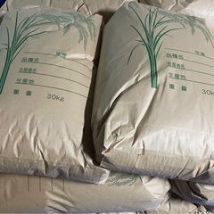 令和6年産新米🌾コシヒカリ🌾玄米30kg 