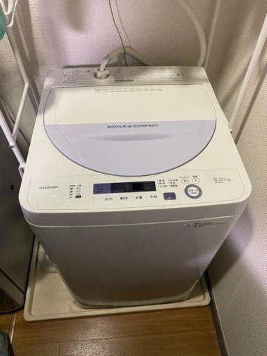 【SHARP】全自動洗濯機5.5kg