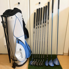 ⛳️Cougar⛳️レディース ゴルフクラブセット(初心者向け ...